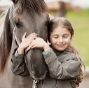 Horseriding in Gers